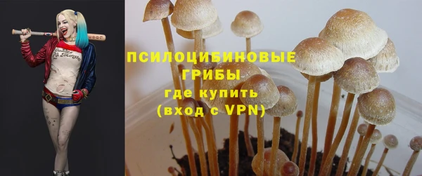 ALPHA-PVP Алексин