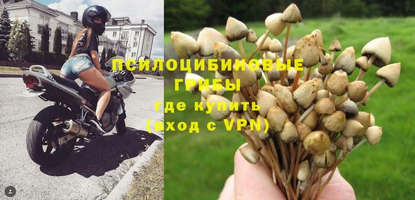 ALPHA-PVP Алексин