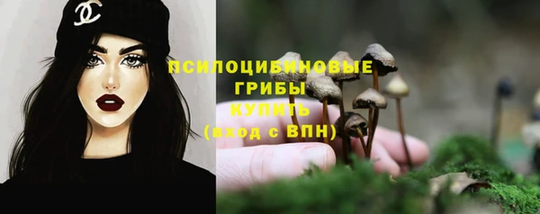 ALPHA-PVP Алексин